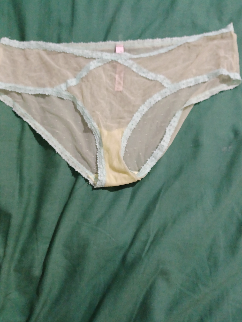 Victoria's Secret Sheer Beige Bikini Panty with Mint Trim